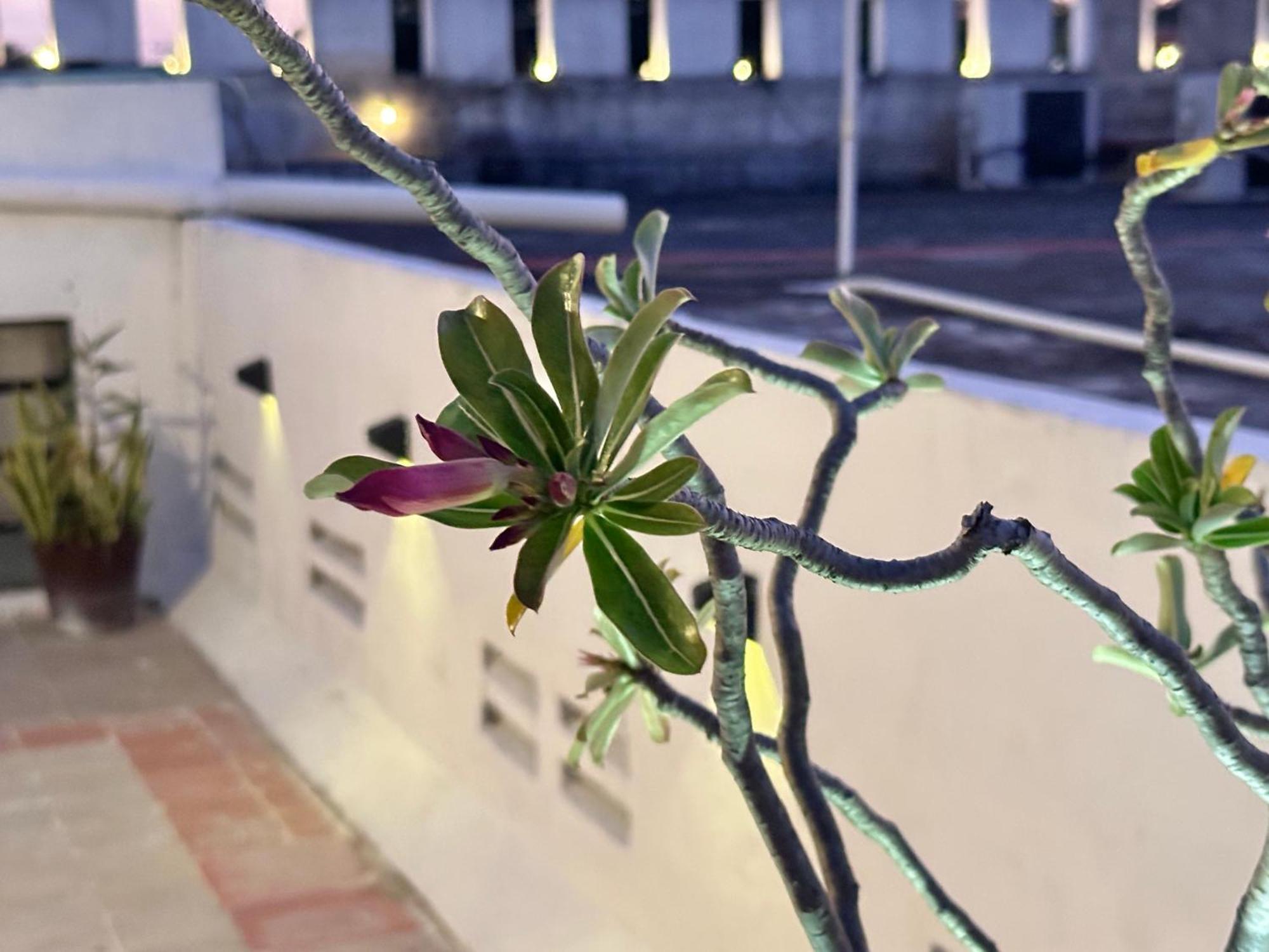 Casa Vidal Hotel Valladolid  Zewnętrze zdjęcie
